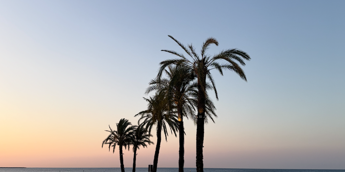 Capture d’écran 2025-10-29 à 00.20.36